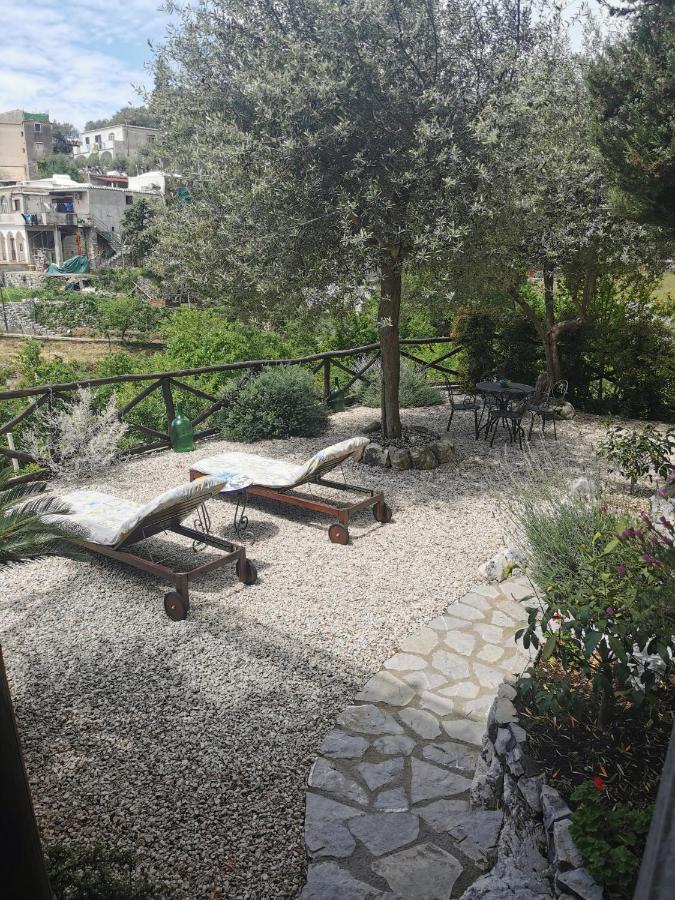 Villa Laura Amazing Breakfast,Private Outdoor Hot Tub, Positano Experience Extérieur photo